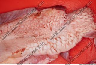 Photo Textures of RAW Pork Meat